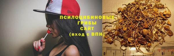не бодяженный Переславль-Залесский