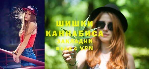 дмт Абаза