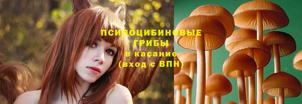 дмт Абаза