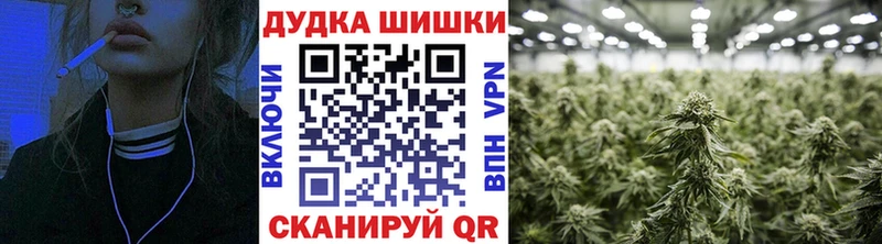 shop наркотические препараты  Пудож  МАРИХУАНА SATIVA & INDICA  даркнет сайт 